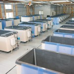 外部加温型保温FRP製水槽2t （実用新案登録2011-3227） かき増産施設整備工事採苗室に ３６水槽設置